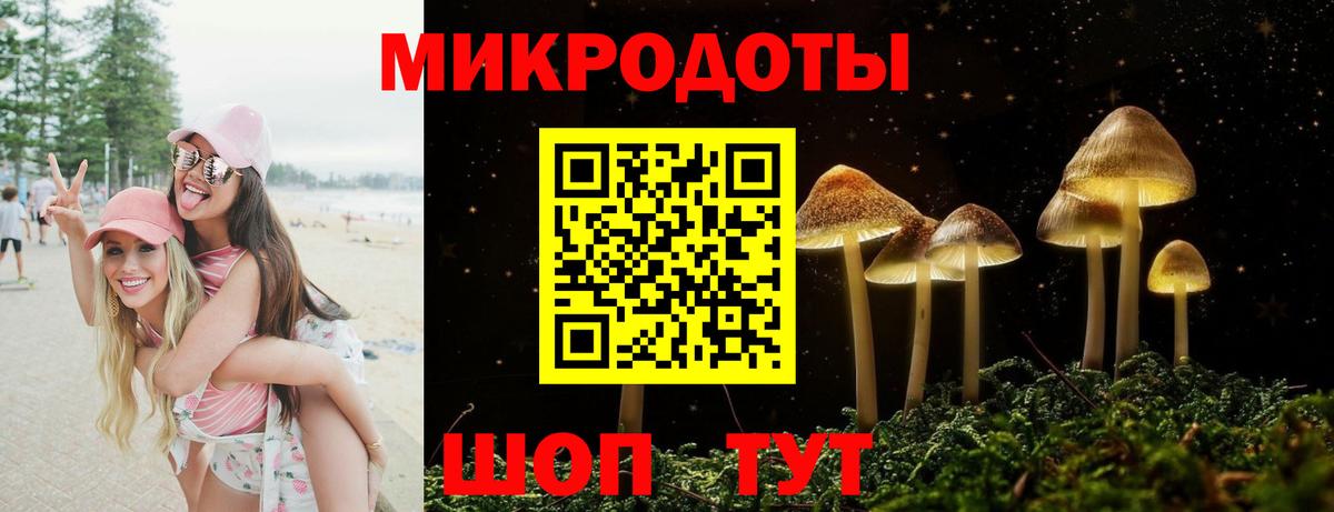 где найти наркотики  Галлюциногенные грибы мицелий  Вход с VPN  Калининград 