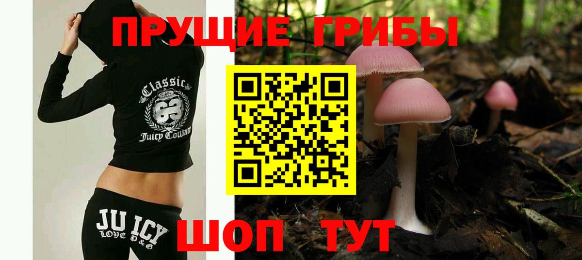 Псилоцибиновые грибы Magic Shrooms Калининград